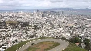 Young Pandas: Tour Video 8 - The Golden Gate