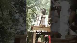 Ayala dans casa mafia