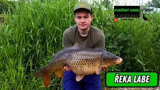 Výprava na LABE | Konečně úspěch na krátké výpravě | Lov kaprů