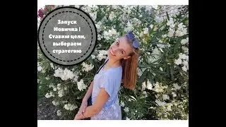 Запуск Новичка | Ставим цели и выбираем стратегию развития