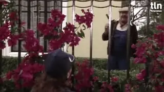 Испанский с ДИКОЙ РОЗОЙ🌹 (9). Роза просит прощения у Рикардо.