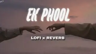 Ek Phool Lofi Version - NiCk