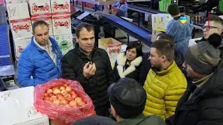 Дніпропетровщина єднає: як відбувався в області міжрегіональний стаді-тур