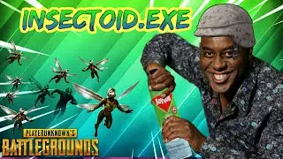 PUBG.EXE | INSECTOID MODE.EXE