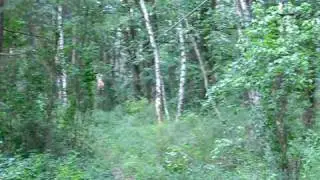Strausberg Kletterwald Seilrutsche Jana 10