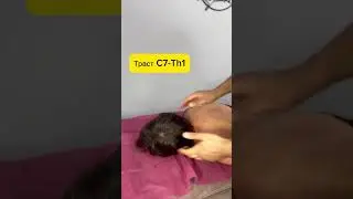 Мануальная терапия обучение #трасты# боль в шее