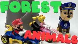 Toddler Learning Video: Learn About 9 Wild Forest Animals And Sounds With Paw Patrol and Mario 😍