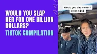 Would You Slap Her For One Billion Dollars? TikTok