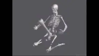 skeleton