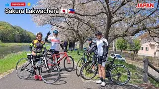 Cycling Ride in Japan || Ganda ng mga Cherry Blossoms @sakuralakwachera9382