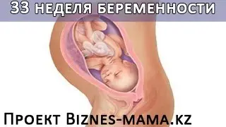 33 неделя беременности