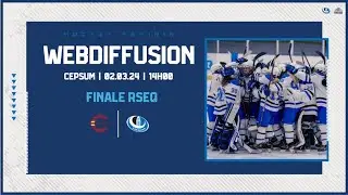 FINALE RSEQ  Hockey féminin: Carabins contre Stingers!