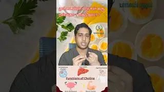 முட்டையின் மஞ்சள் கரு கெடுதலா|Egg yolk health benefits|Choline health benefits #Choline #eggyolk l