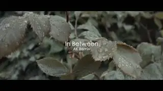 Andrew Applepie, Dario Lessing - In Between (AK Remix)