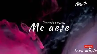 Mc aese Coartada Perfecta Letra