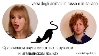 Как "разговаривают" животные в русском и итальянском языках?