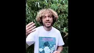 Варламов про возможный запрет на выдачу шенгенских виз | #shorts