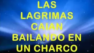 IGLESIA - LILY GODMAN