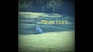 NINJA FART 🥷 #art #ninja NINJA #fart #explosion #funny #beats #synth syn