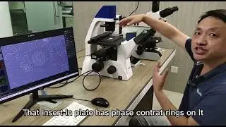 Demonstration of MF52-N inverted fluorescence microscope and MS23 camera