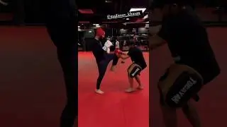 НЕРЕАЛЬНАЯ СКОРОСТЬ от Хамзата Чимаева 🔥