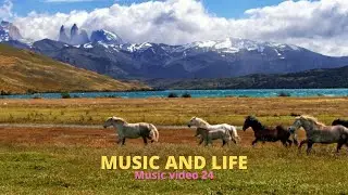 MUSIC AND LIFE Music video 24
