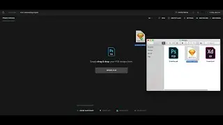 What is Avocode?
