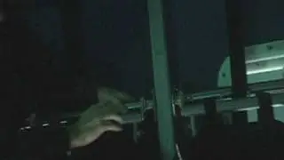 SurvivalSystems19