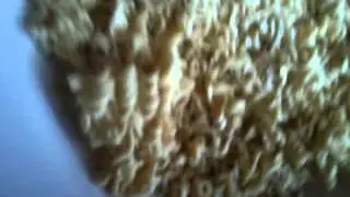 Как приготовить БЛТ