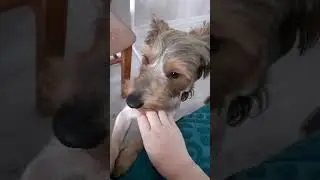 Бабушка приехала😊