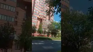 утро в разгаре