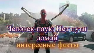 Человек паук: Нет пути домой (интересные факты)