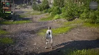 Vindictus: Defying Fate 2K Ultra settings  Test