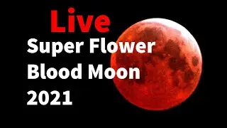 🔴 LIVE : Super Flower Blood Moon 2021 II  total lunar eclipse of 2021 II
