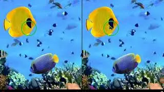 Find the Difference Level 192