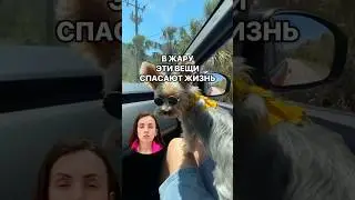 В жару эти вещи спасают жизнь