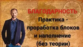 Практика Благодарность - проработка блоков и наполнение - без теории