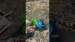 24 марта 2024 г.