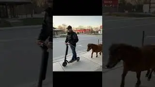 People Whose Day Started With the Phrase, “Surprise, Surprise!” #tiktok #shorts #viral #trending