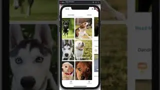 Flutter GridView and ListView