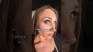 Мяу #рекомендации