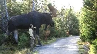 5 BIGGEST ANIMALS YOU WON'T BELIEVE EXIST!