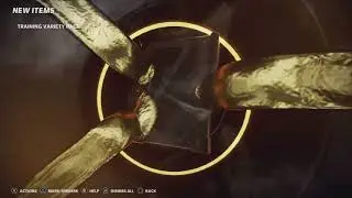 Hunt for GT!!