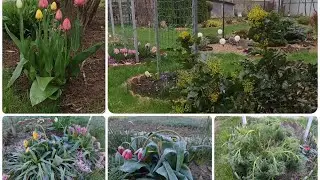 Всë пропало🙆‍♀️ ПоследствияЗаморозков на юге Подмосковья  Кто не выжил😞