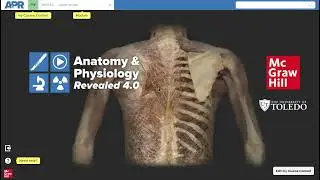 Anatomy and Physiology Revealed® Overview