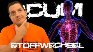 SCUM Guide [2021] 🧟 STOFFWECHSEL ➡️ Alles (inkl. GESUNDHEIT) einfach erklärt!