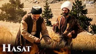 Hacı Bayram-ı Veli Hazretleri - Hasat