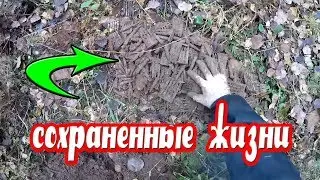 ЭТО СЛУЧИЛОСЬ В ЛЕСУ КОГДА ВЫШЕЛ НА ОПУШКУ НАШЕЛ...