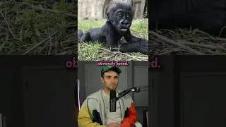 Guess The Youtuber By The Baby Pictures... #meme#relatable