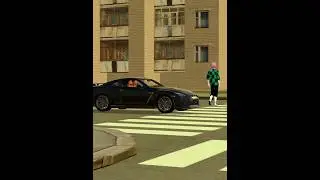 Шкодник за рулём